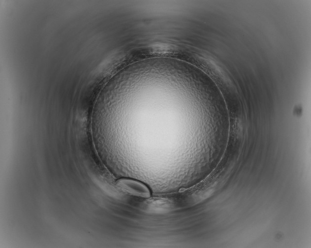 X0000091520557200708171219