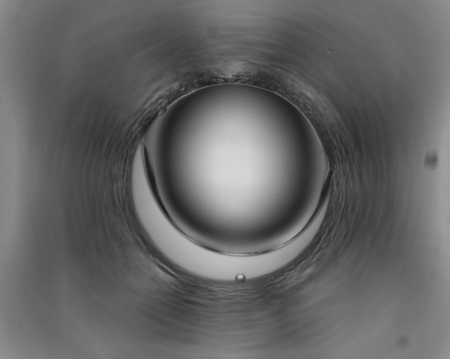X0000091520558200708171219