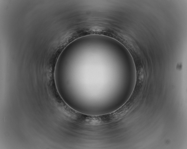 X0000091520559200708171219