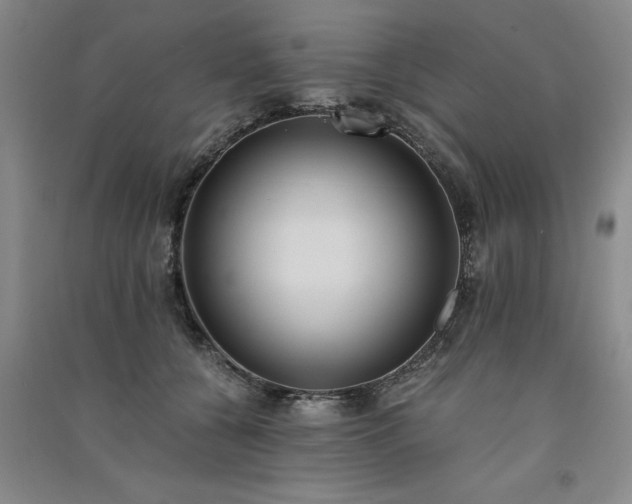 X0000091520560200708171219