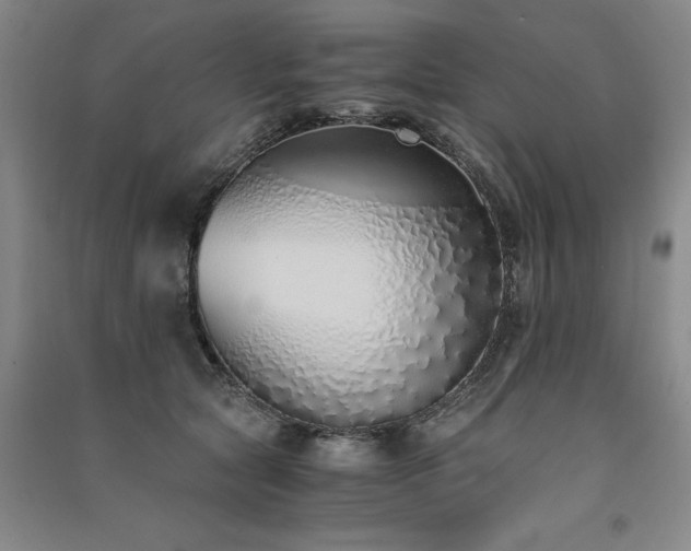 X0000091520561200708171219