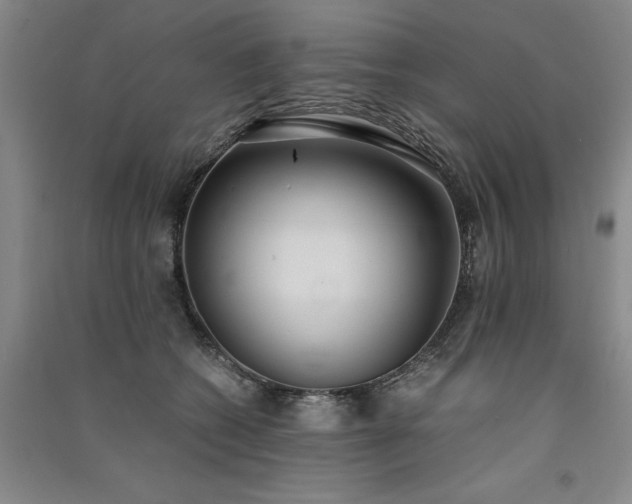 X0000091520562200708171219