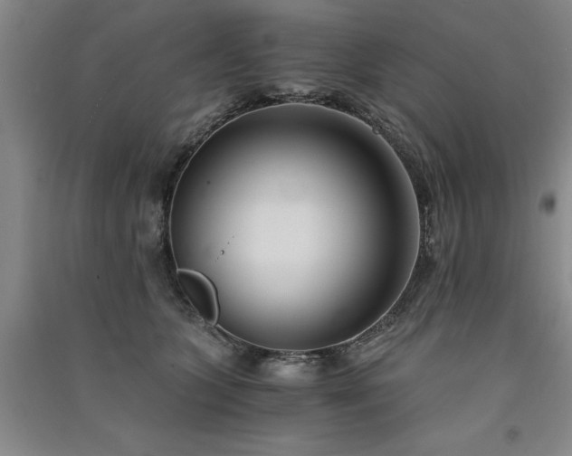 X0000091520563200708171219