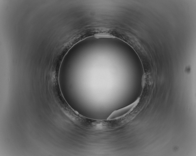 X0000091520564200708171219