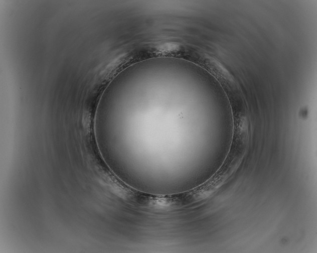 X0000091520565200708171219