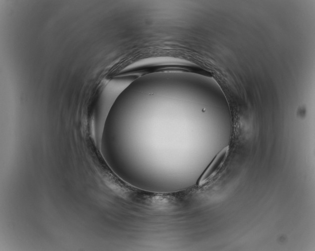 X0000091520566200708171219