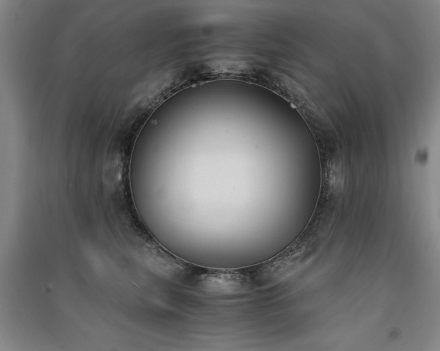 X0000091520567200708171219