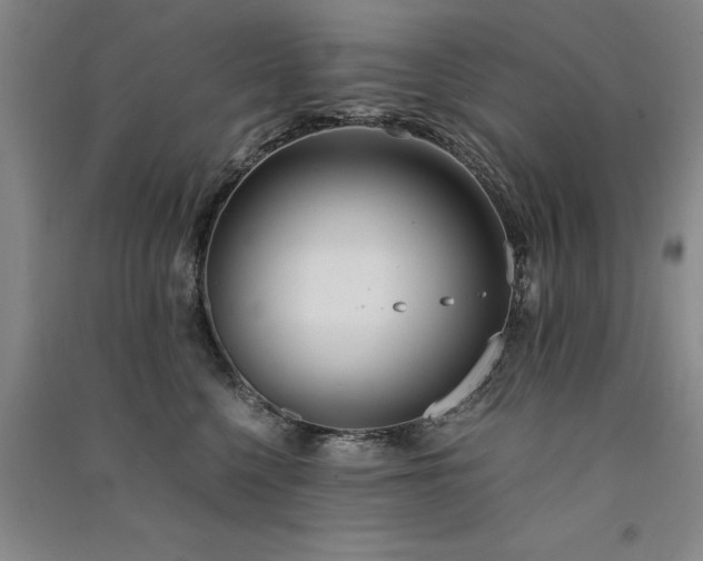 X0000091520568200708171219