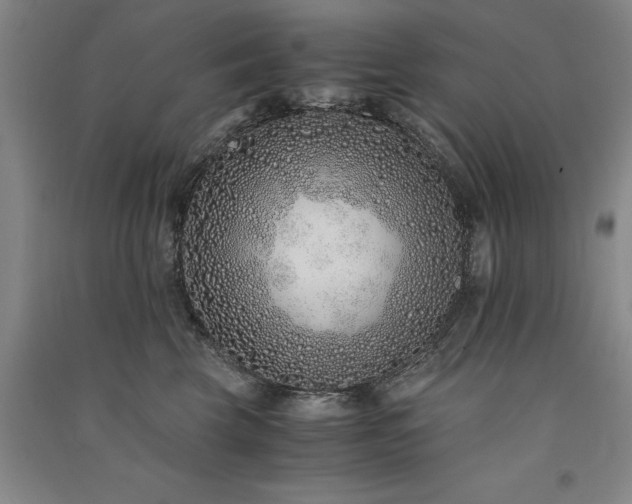 X0000091520569200708171219
