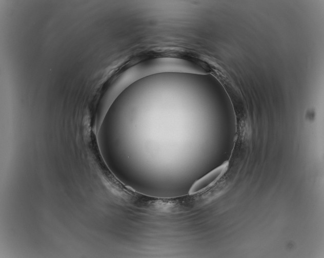 X0000091520570200708171219