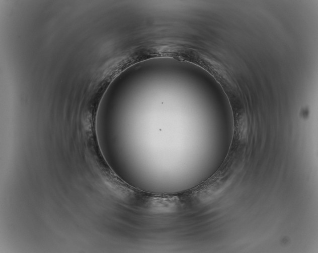 X0000091520571200708171219