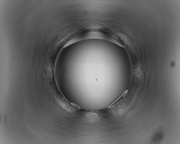 X0000091520572200708171219