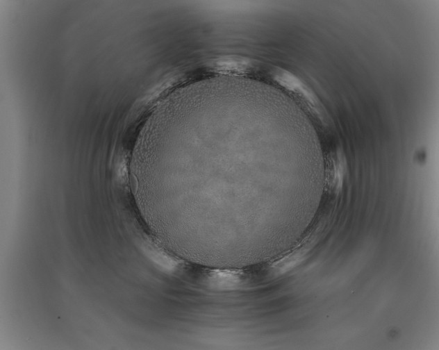 X0000091520573200708171219