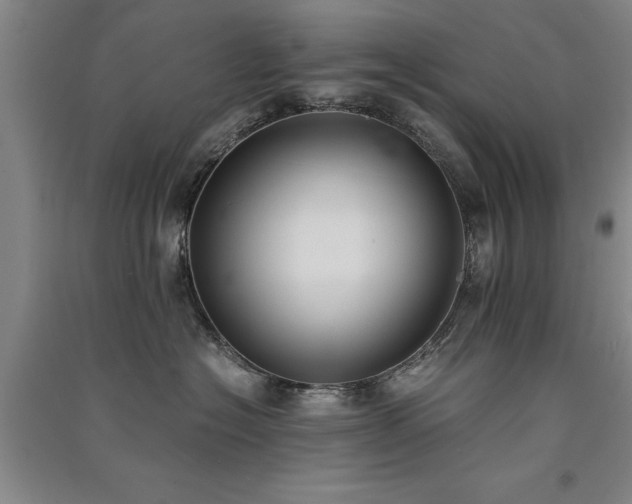 X0000091520574200708171219