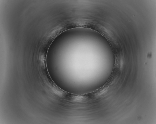 X0000091520575200708171219