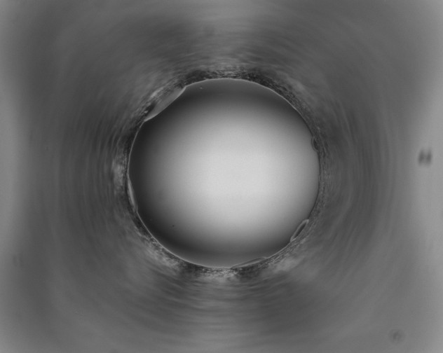 X0000091520576200708171219