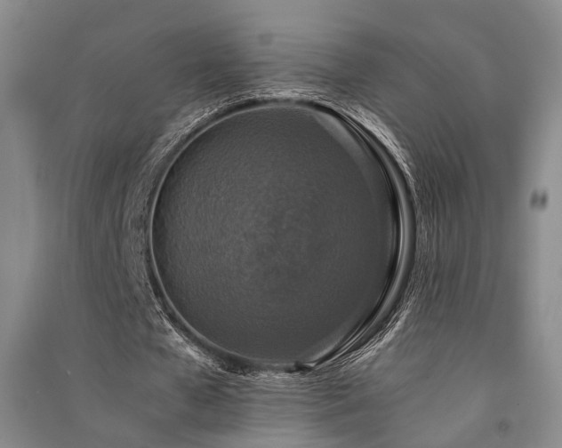 X0000091520577200708171218
