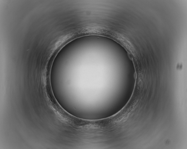 X0000091520578200708171218
