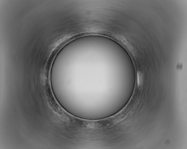 X0000091520579200708171218