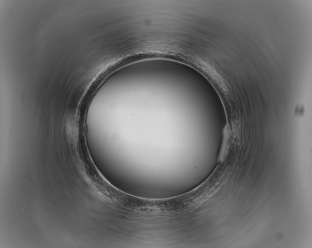 X0000091520580200708171218