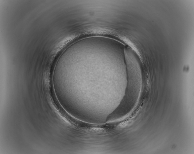 X0000091520581200708171218