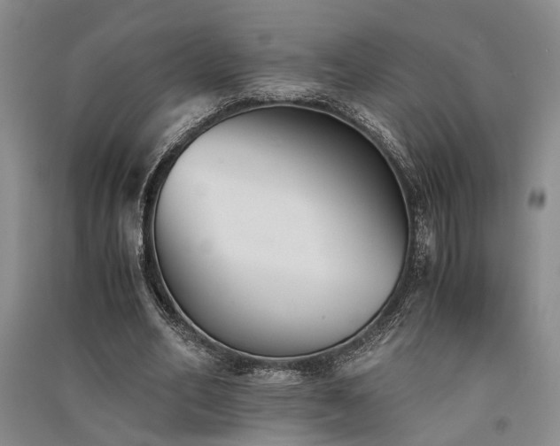 X0000091520582200708171218