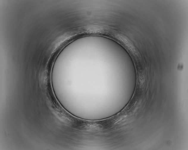 X0000091520583200708171218