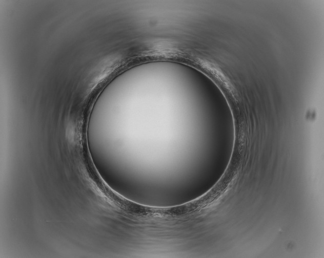 X0000091520585200708171218