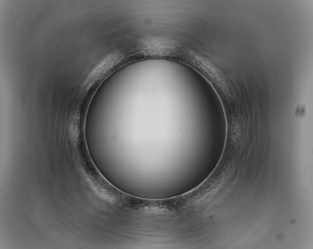 X0000091520586200708171218