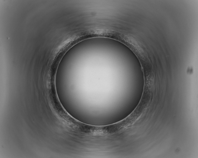 X0000091520587200708171218
