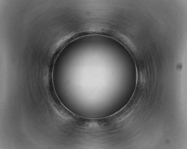X0000091520588200708171218