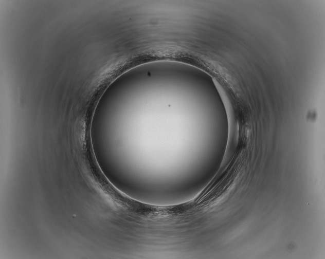 X0000091520589200708171218