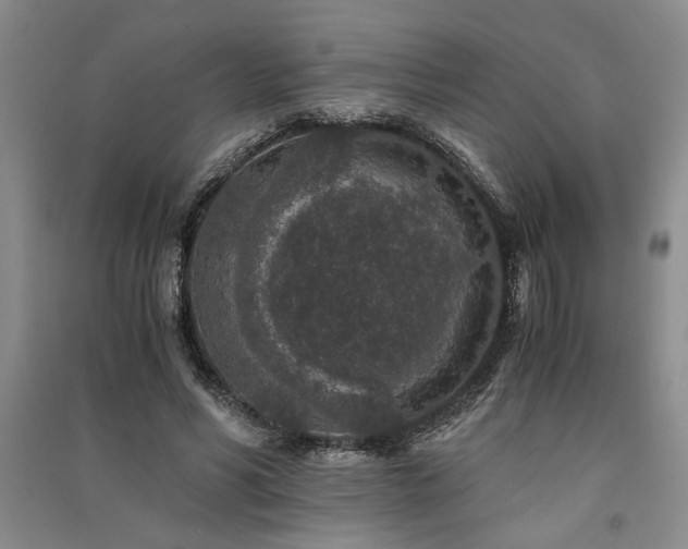 X0000091520590200708171218