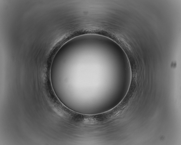 X0000091520591200708171218