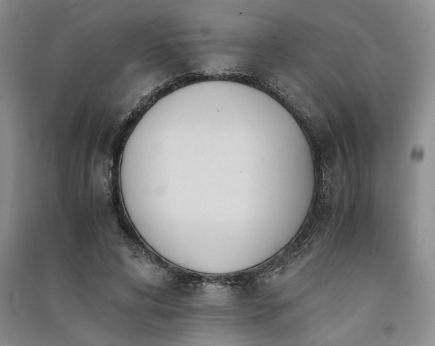 X0000091520592200708171218