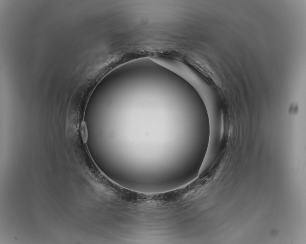 X0000091520593200708171218