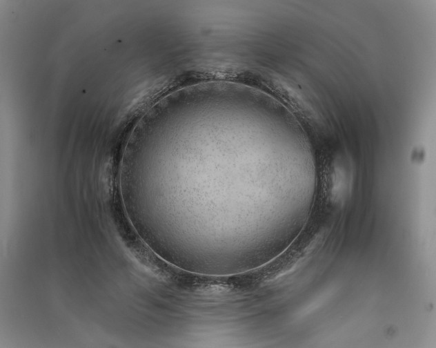 X0000091520594200708171218