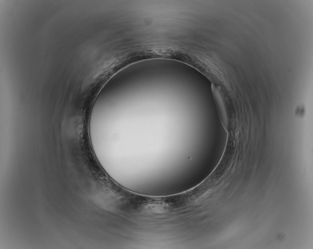 X0000091520595200708171218