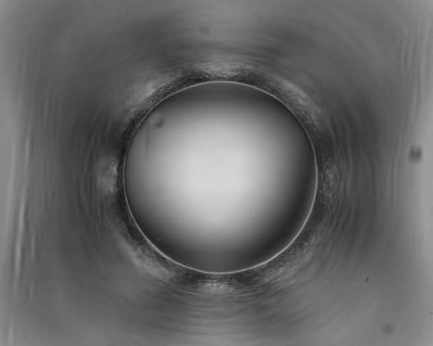 X0000091520596200708171218