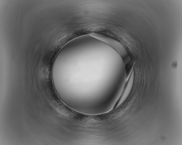 X0000091520597200708171218