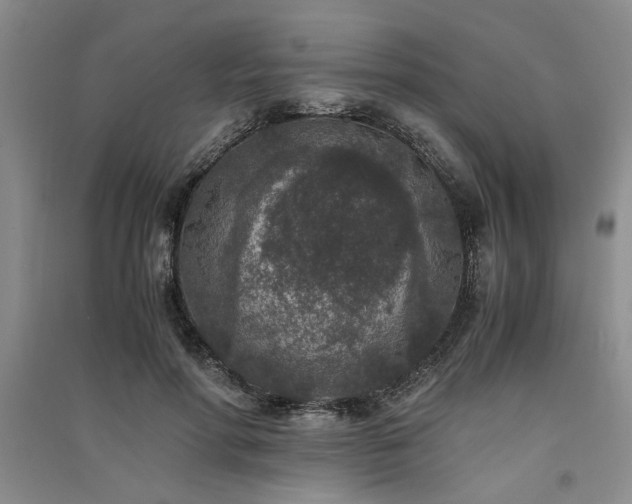 X0000091520598200708171218
