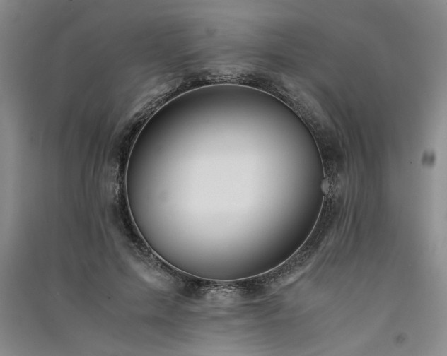 X0000091520599200708171218