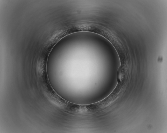 X0000091520600200708171218