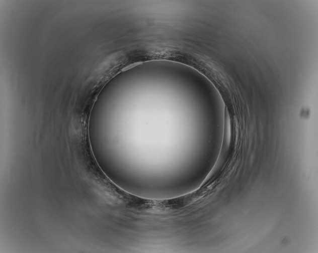 X0000091520601200708171218