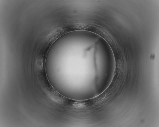 X0000091520602200708171218