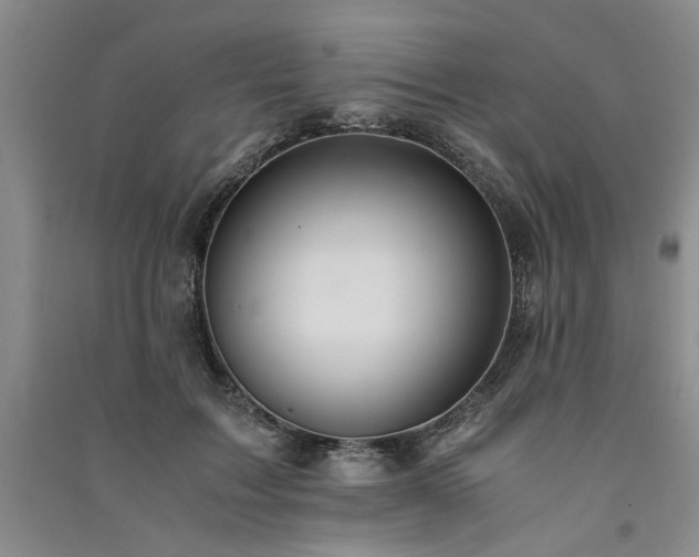 X0000091520603200708171218