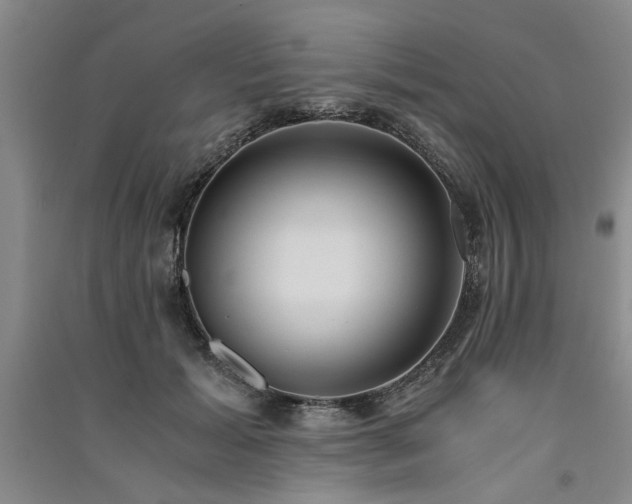 X0000091520605200708171218