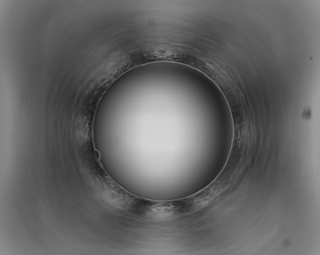X0000091520606200708171218