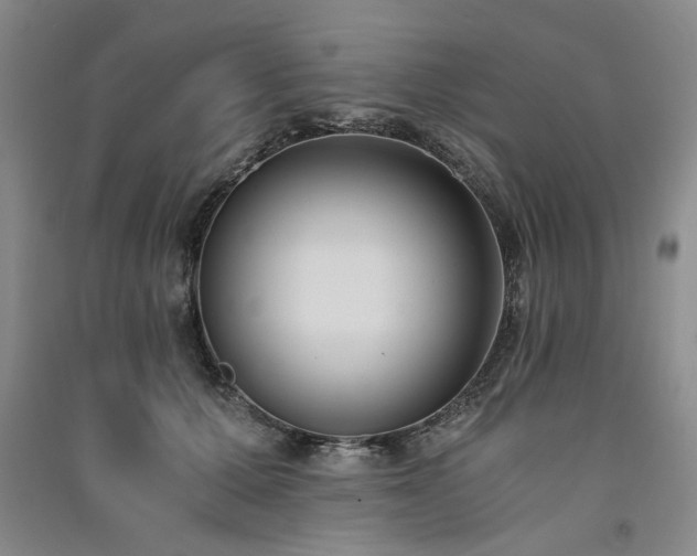 X0000091520607200708171218