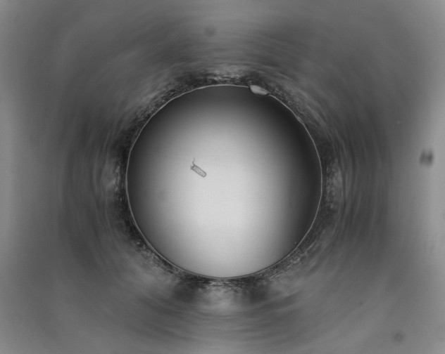 X0000091520608200708171218